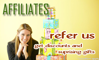 Affordable Custom Company Web Site Design