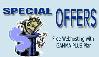 Affordable Custom Company Web Site Design