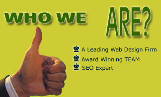 Affordable Custom Company Web Site Design